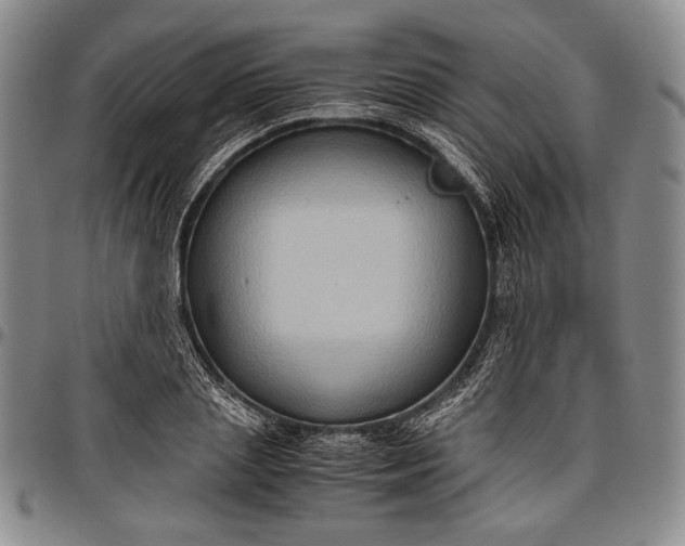 X0000096640837200802191218