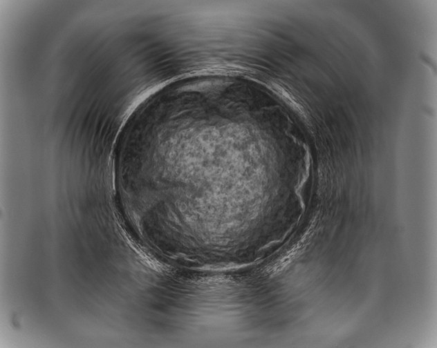 X0000096640838200802191218