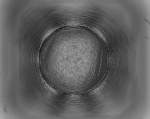 X0000096640839200802191218