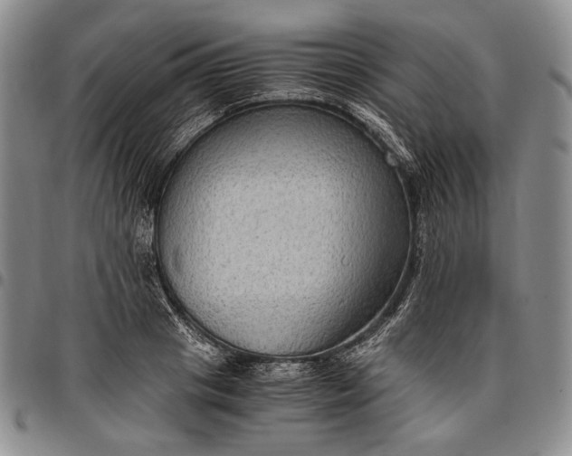 X0000096640841200802191218