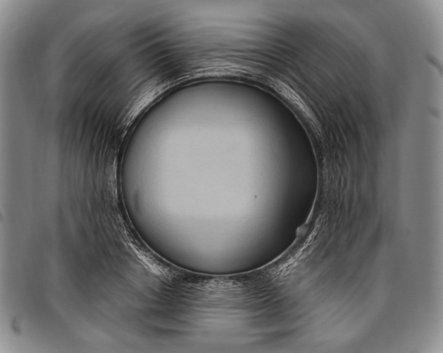 X0000096640842200802191218