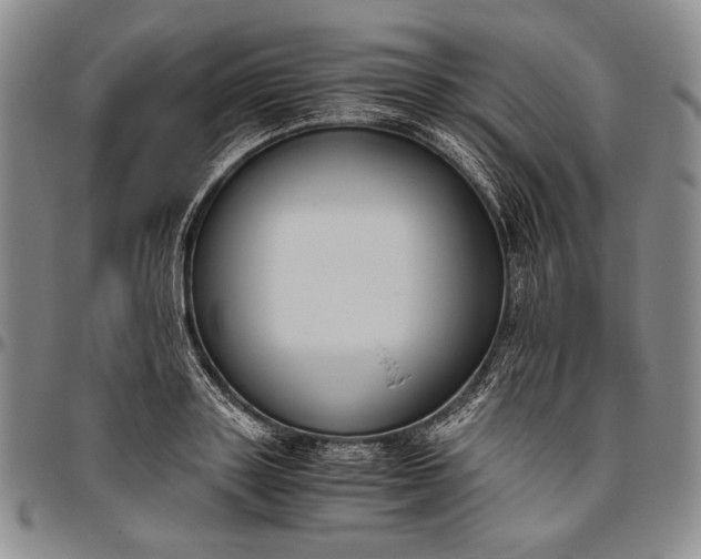 X0000096640843200802191218