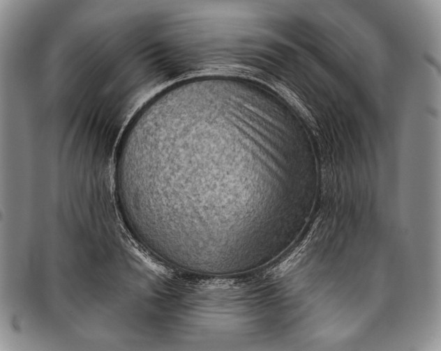 X0000096640846200802191218