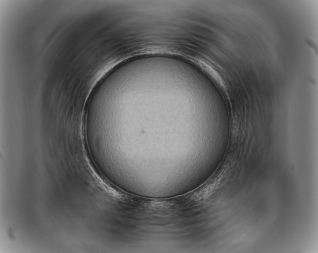 X0000096640847200802191218