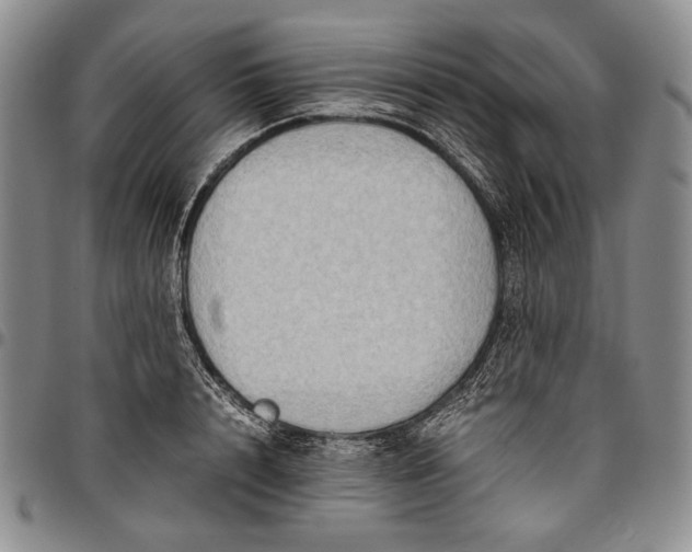 X0000096640848200802191218