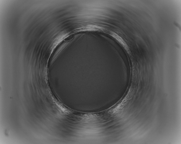 X0000096640850200802191218