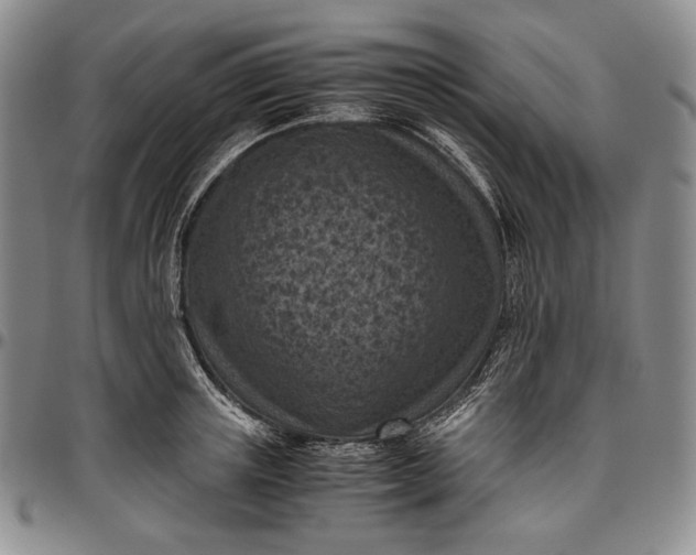 X0000096640851200802191218