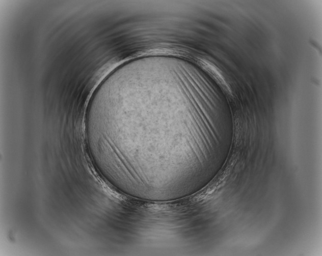 X0000096640852200802191218