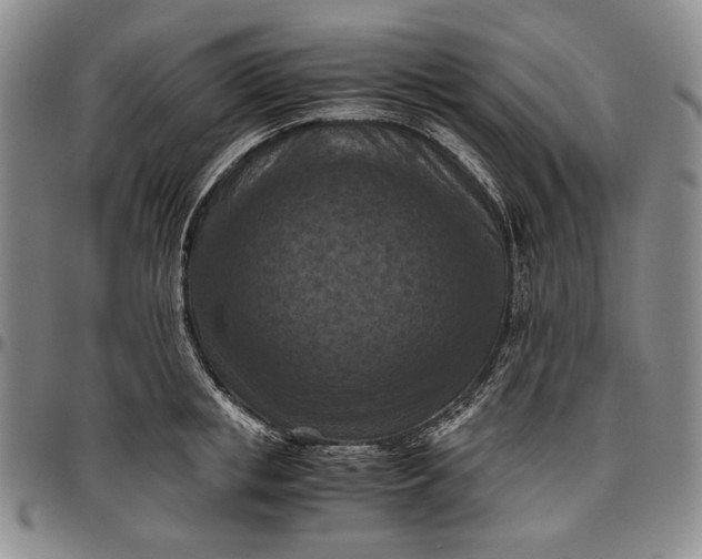 X0000096640853200802191218