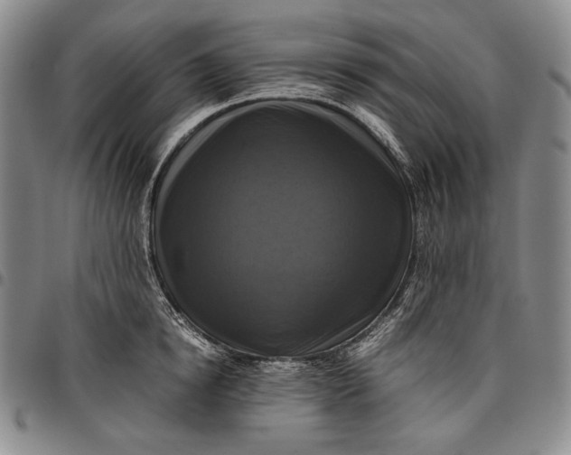 X0000096640854200802191218