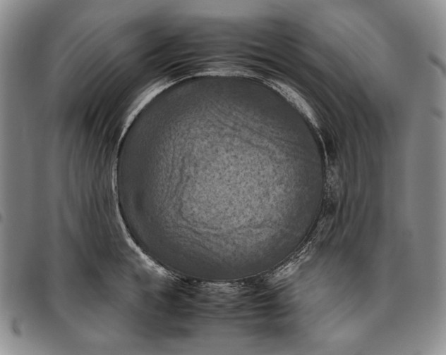 X0000096640855200802191218