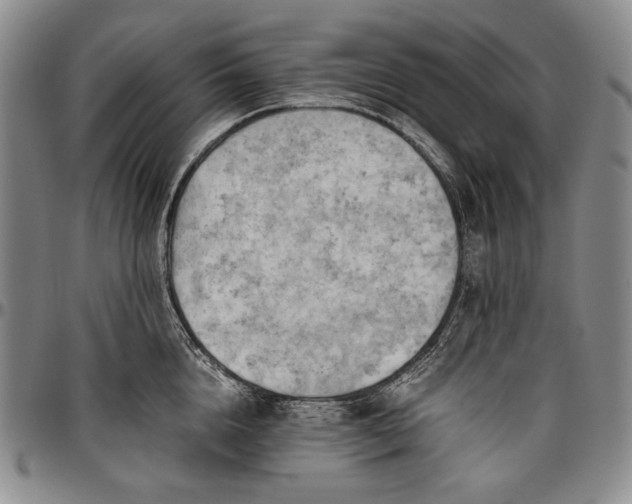 X0000096640856200802191218