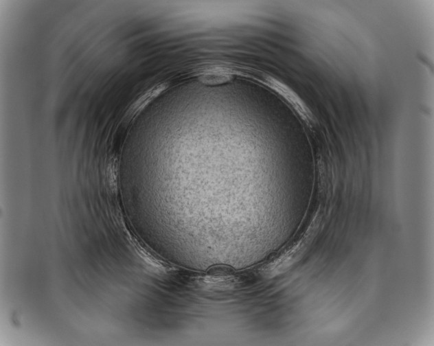 X0000096640857200802191218