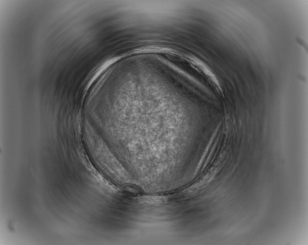 X0000096640860200802191218