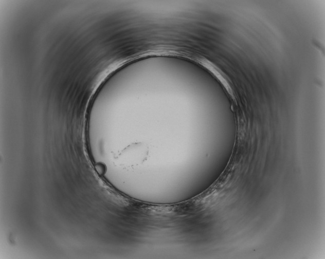 X0000096640861200802191218