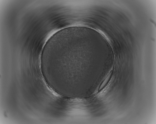 X0000096640862200802191218