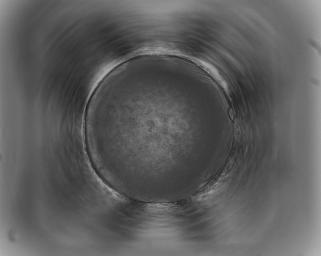 X0000096640863200802191218