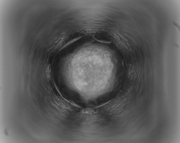 X0000096640866200802191217