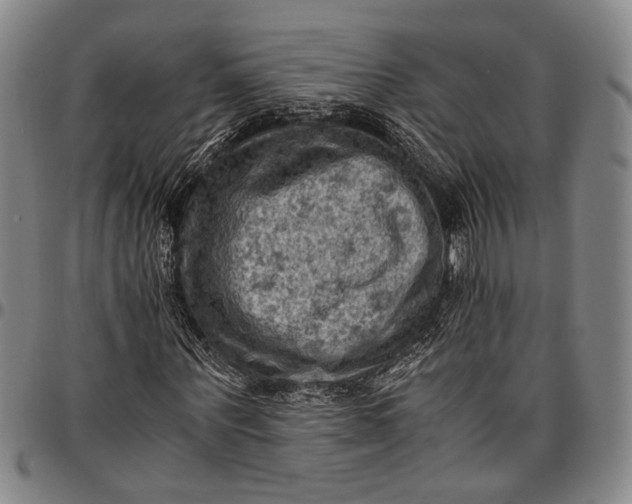 X0000096640867200802191217