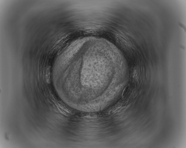 X0000096640868200802191217