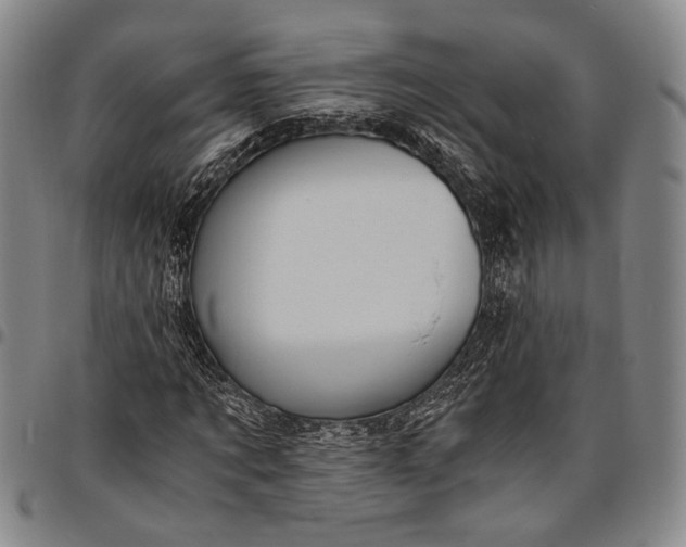 X0000096640869200802191217