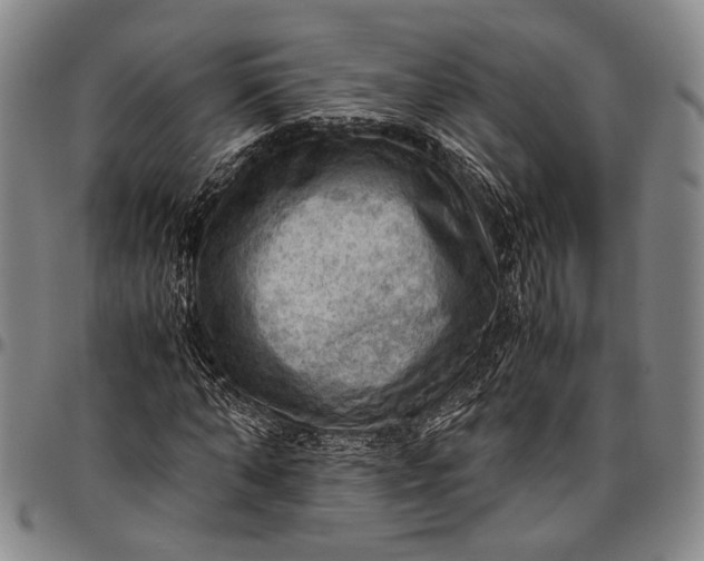 X0000096640870200802191217