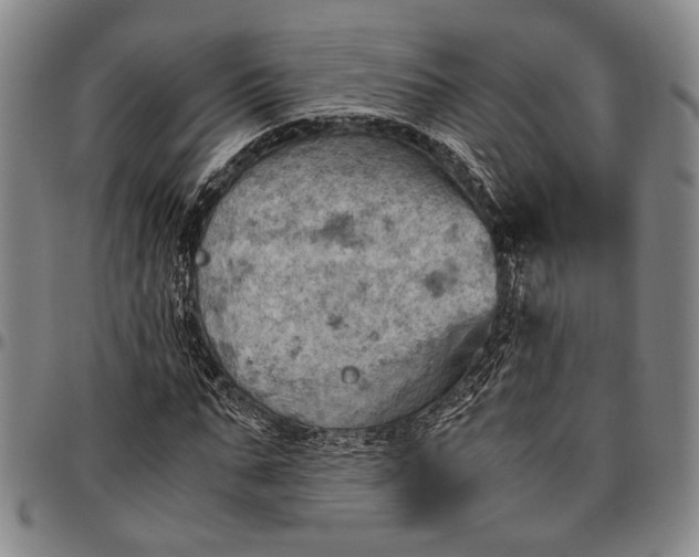 X0000096640871200802191217