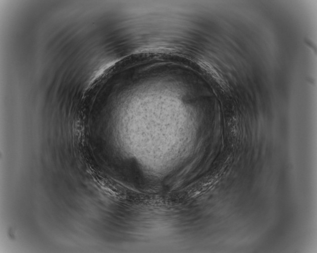 X0000096640872200802191217