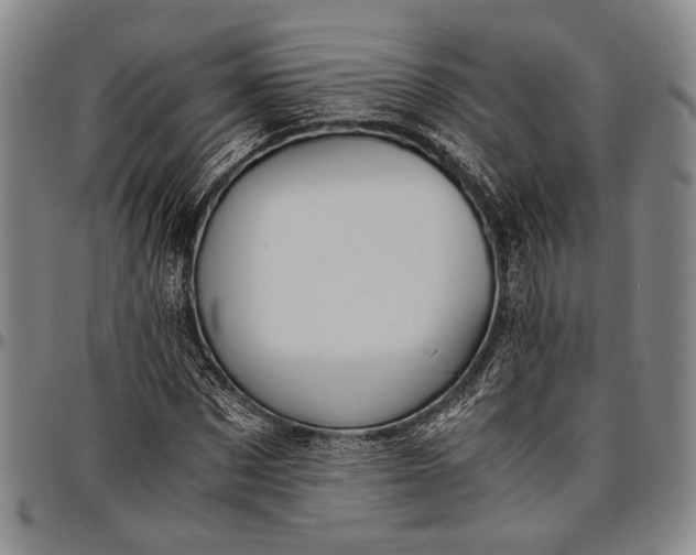 X0000096640873200802191217