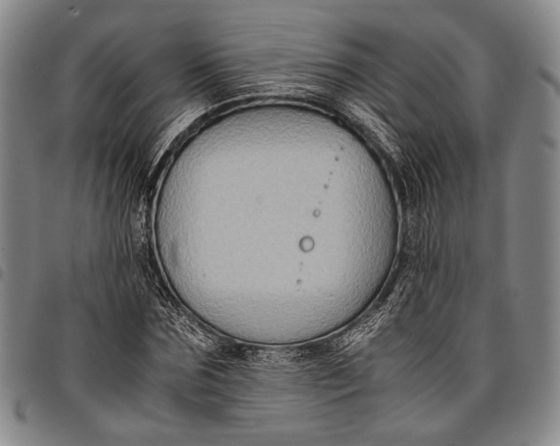 X0000096640875200802191217