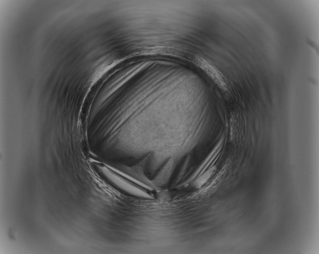 X0000096640876200802191217