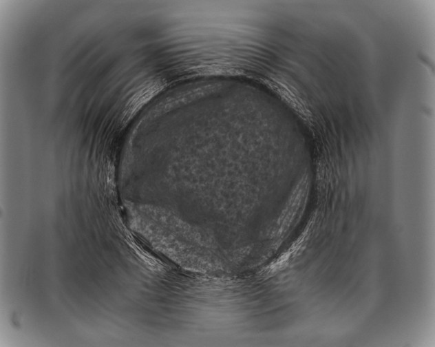 X0000096640881200802191217