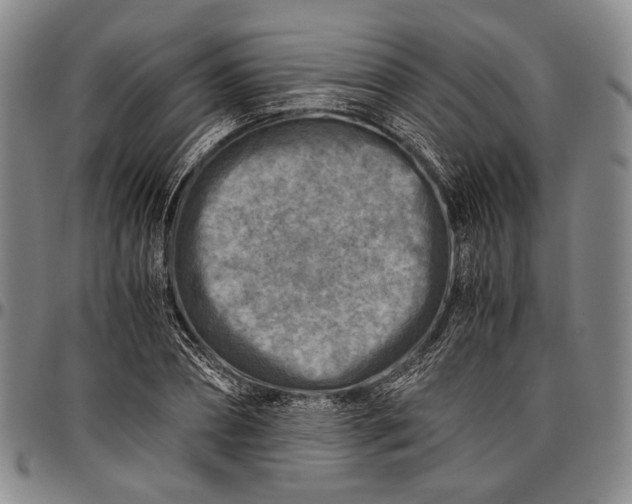 X0000096640882200802191217