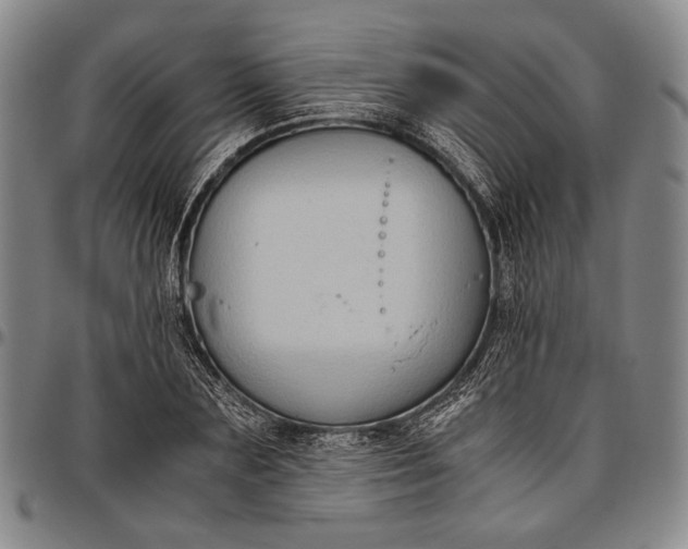 X0000096640883200802191217