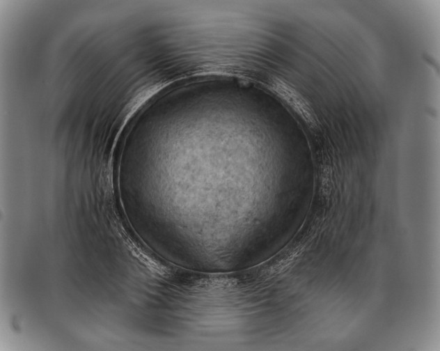 X0000096640884200802191217