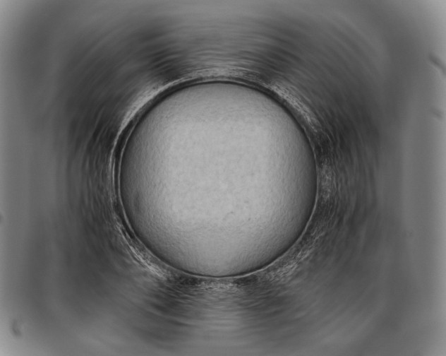 X0000096640886200802191217