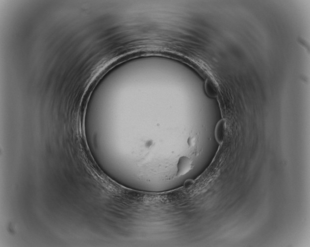 X0000096640887200802191217