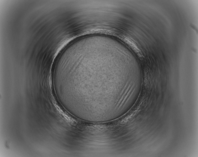 X0000096640888200802191217