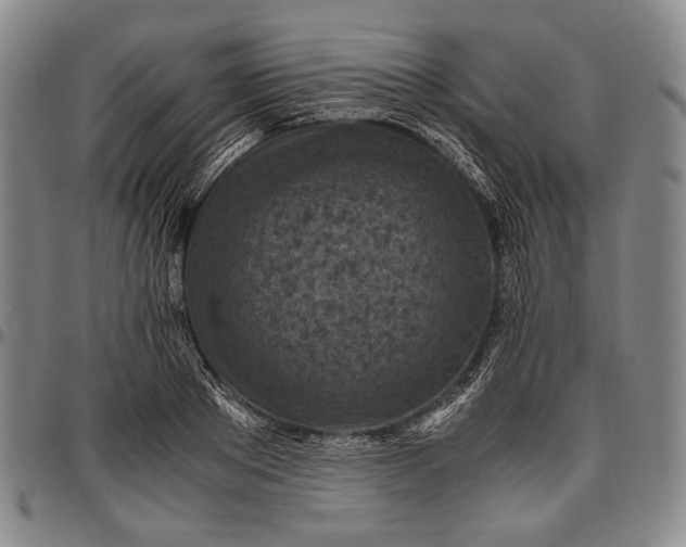 X0000096640889200802191217