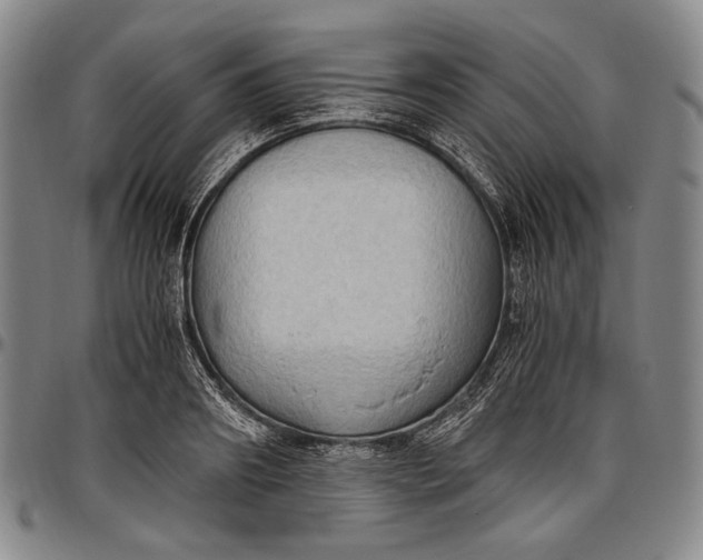 X0000096640890200802191217