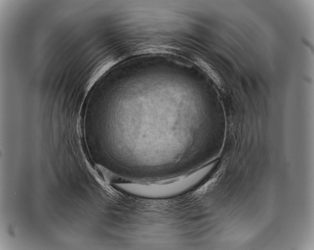 X0000096640893200802191217