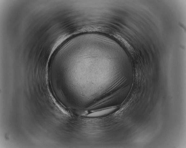 X0000096640894200802191217