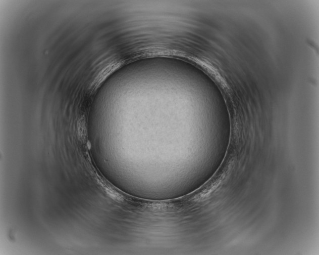 X0000096640897200802191217