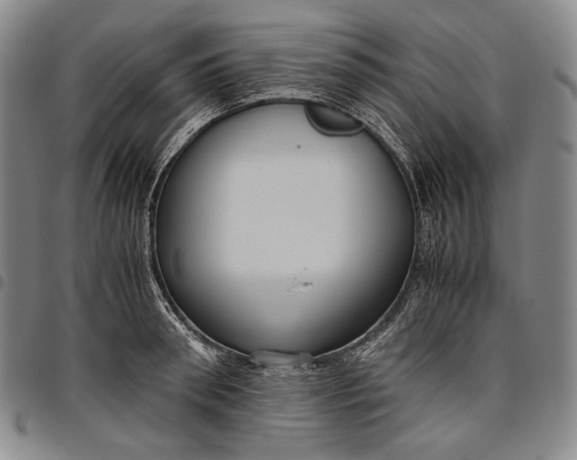 X0000096640898200802191217