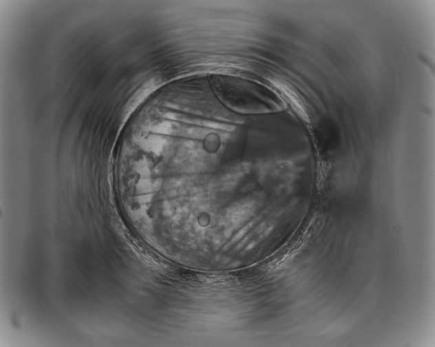 X0000096640899200802191217