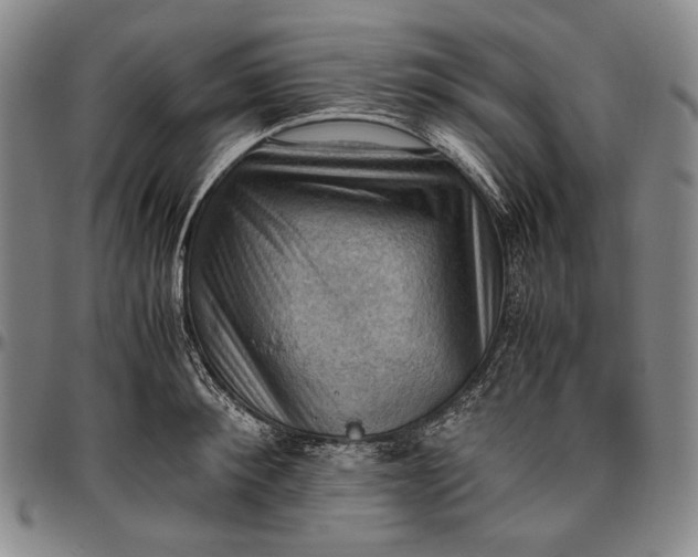 X0000096640900200802191217