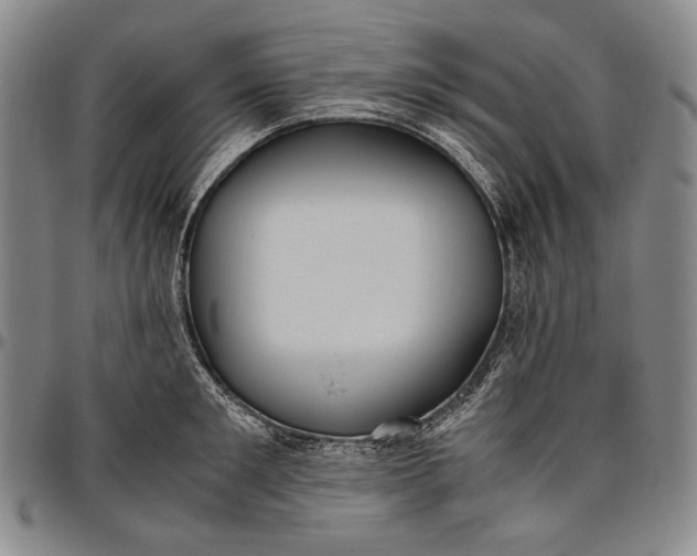 X0000096640901200802191217