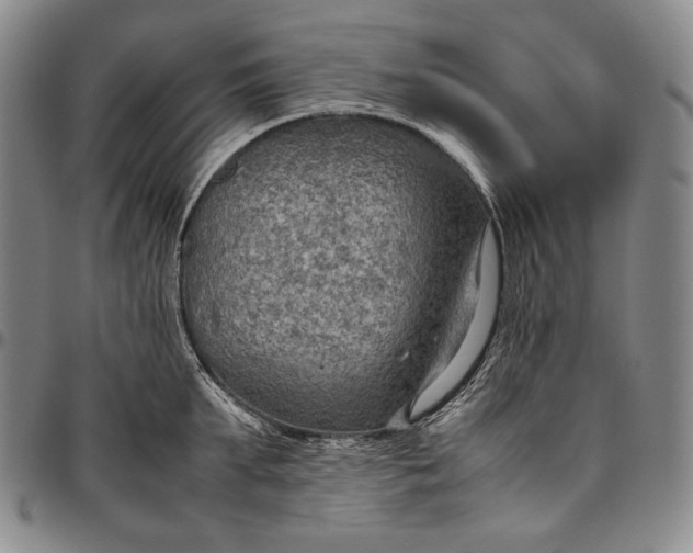 X0000096640903200802191217