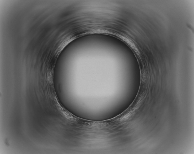 X0000096640905200802191217