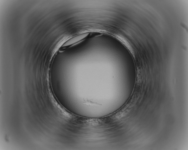 X0000096640906200802191217